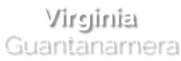 logo-vg-w