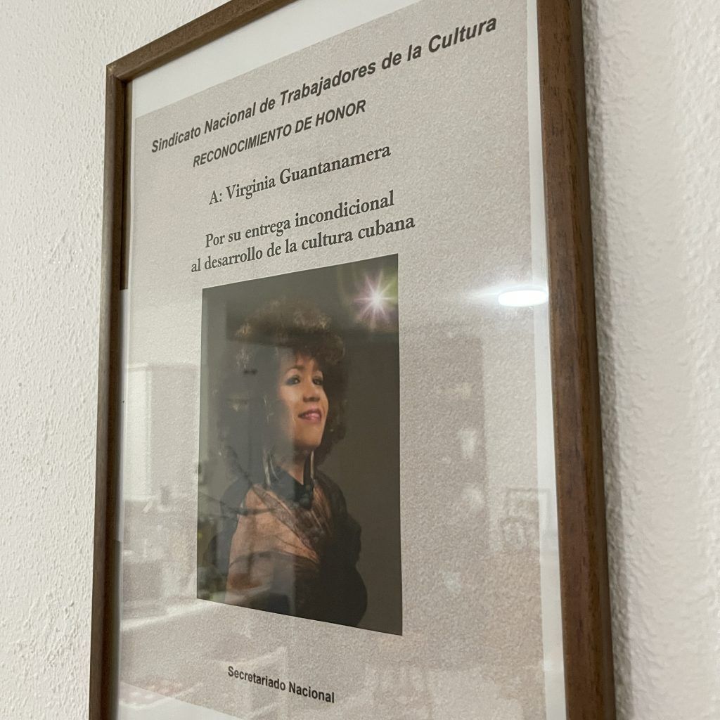 Premio recibido por Virginia
